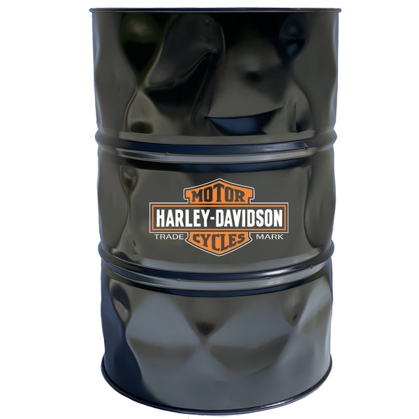 Harley Davidson Bicolor 2